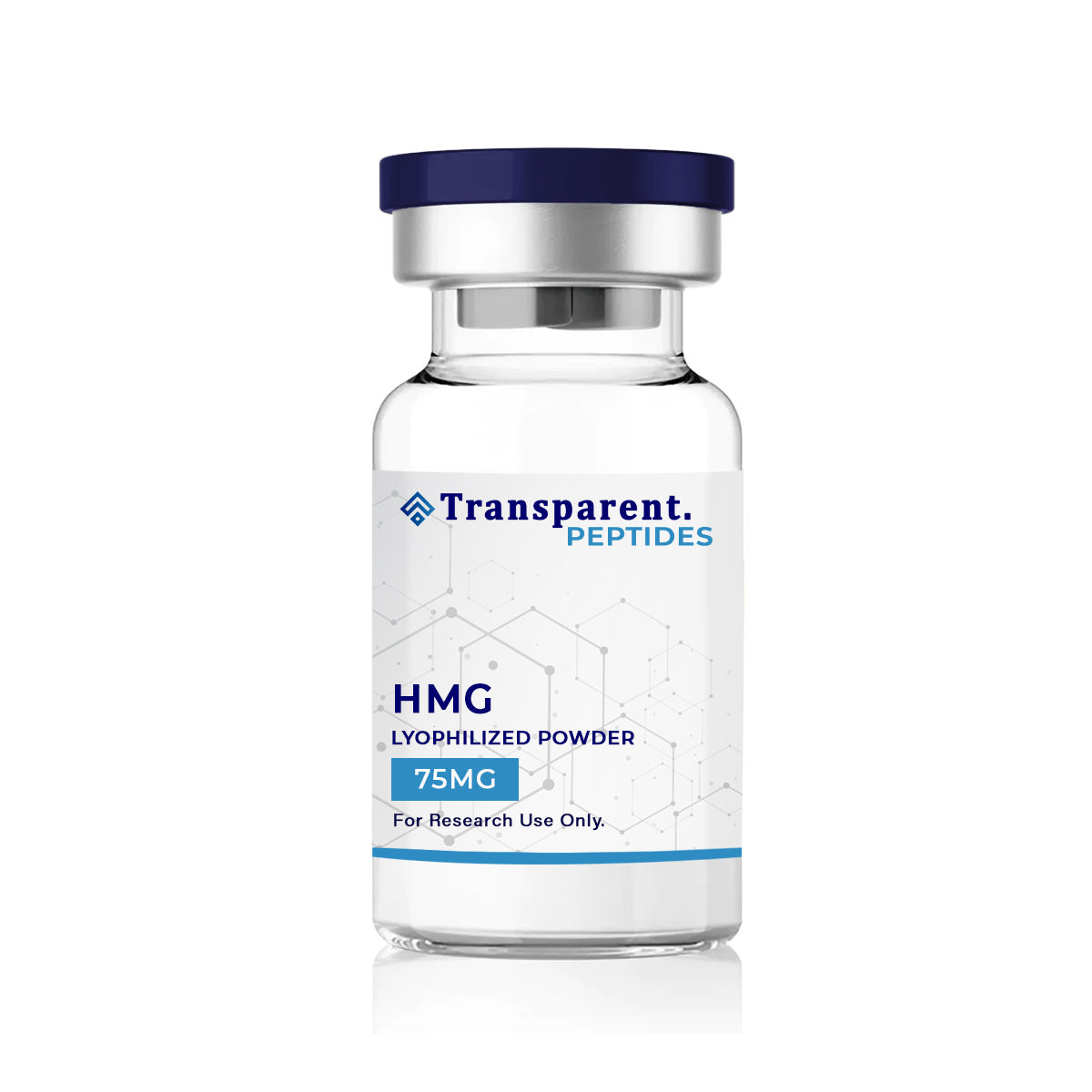 HMG